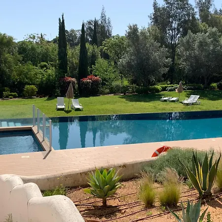 Club 1 With Pool By Homing Feriehus